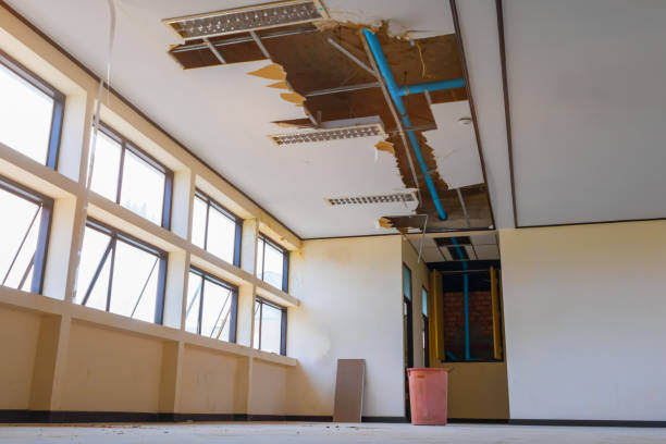  Cascade, IA Water damage restoration Pros