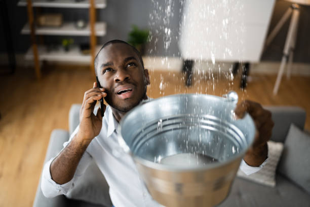 Best Water damage restoration near me  in Cascade, IA