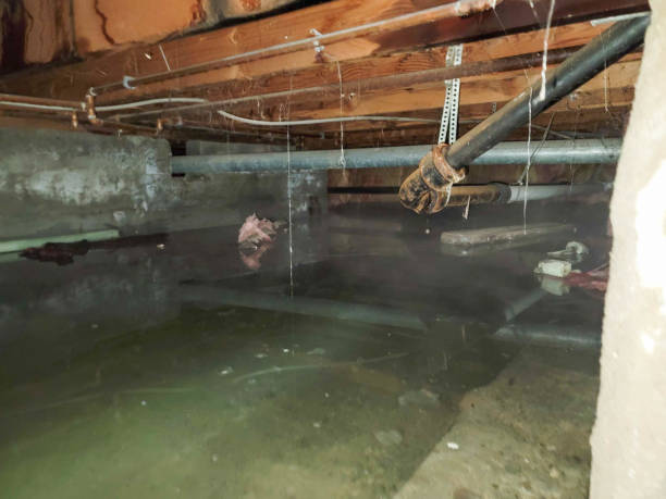 Best 24-hour water damage restoration  in Cascade, IA