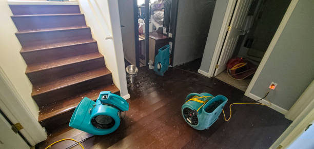 Best Carpet water damage restoration  in Cascade, IA